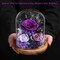 Flowers for Delivery Preserved Rose Gifts for Women,Long-Lasting Forever Flowers in Glass Dome, Birthday Gifts for Women Mom Friend(Purple Rose)